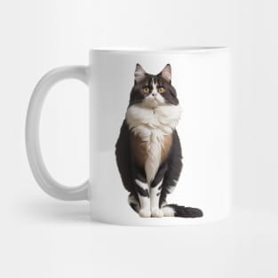 Maine coon cat Mug